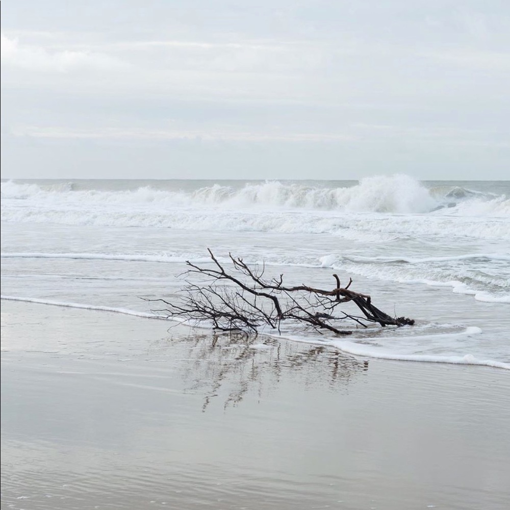 Meet your Posher, Ariel